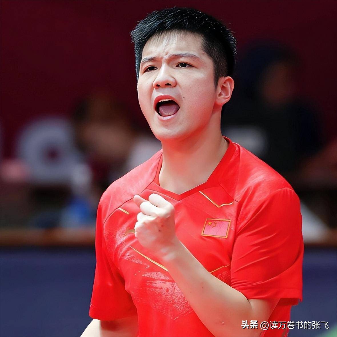 开云体育2026-瑞典队逆转葡萄牙队，樊振东高光表现